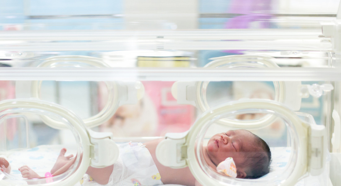 Featured image for the article
